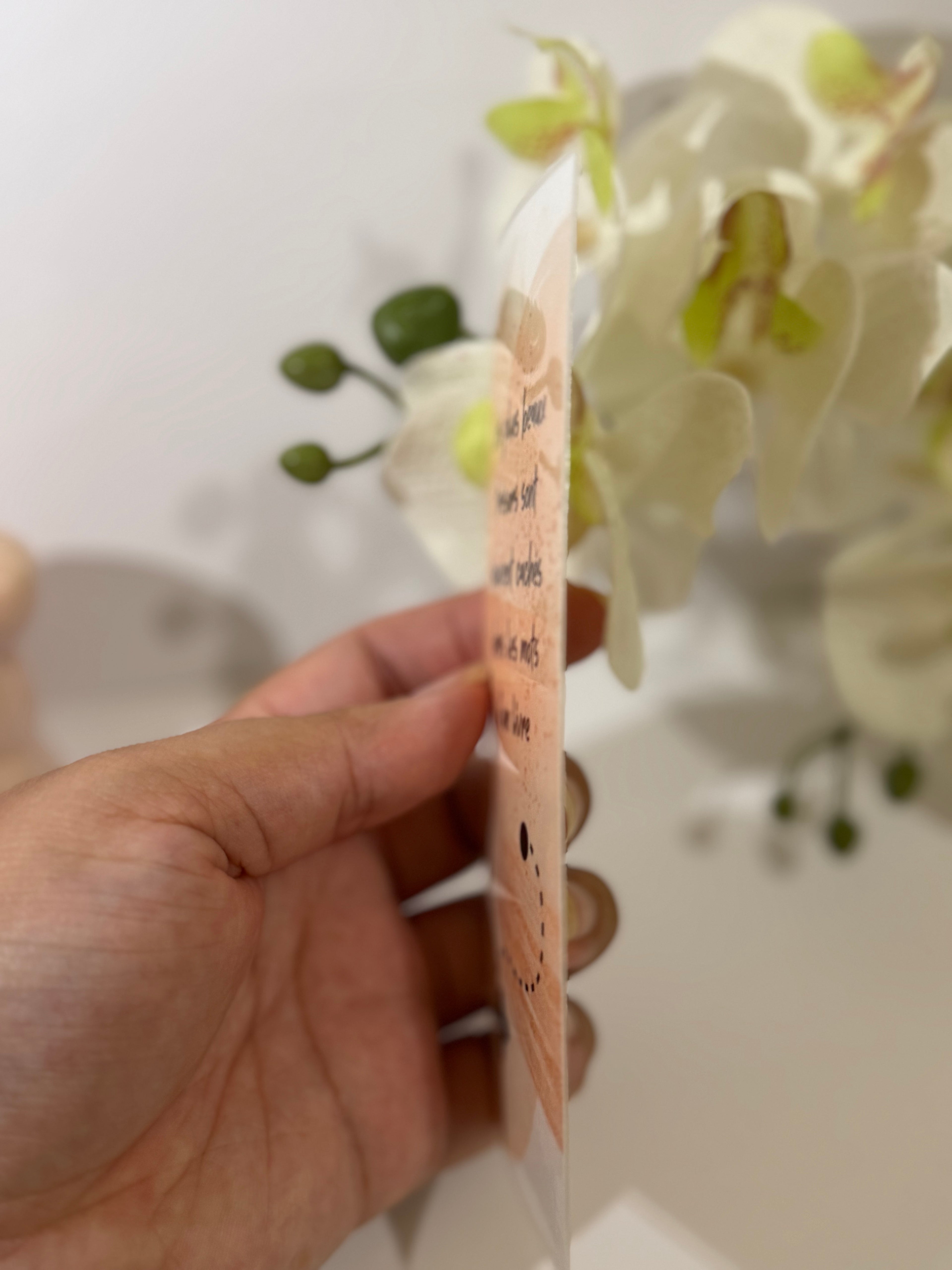 Marque page Citation Le plus beaux trésors sont souvent cachés dans les mots d'un livre