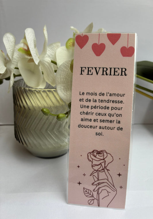 Marque pages Février 🌸